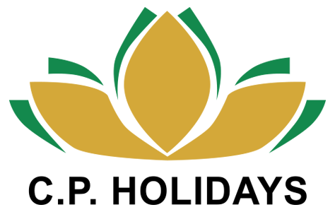 image logo